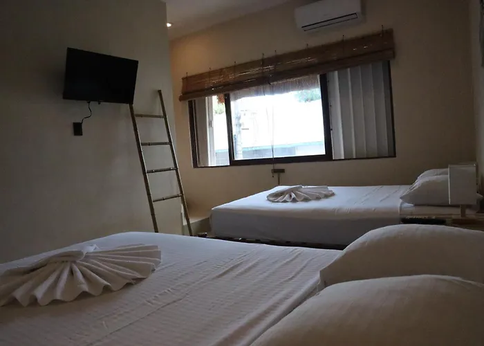 Albergue 3b Wellness & Adults Only